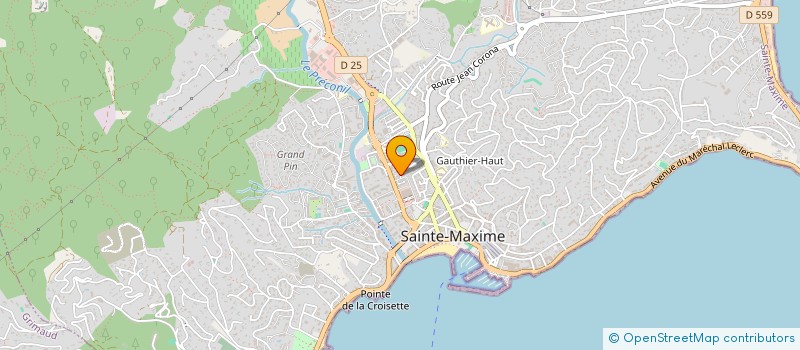 localisation de l'entreprise SCI LES PALMIERS DU PLAN à SAINTE-MAXIME