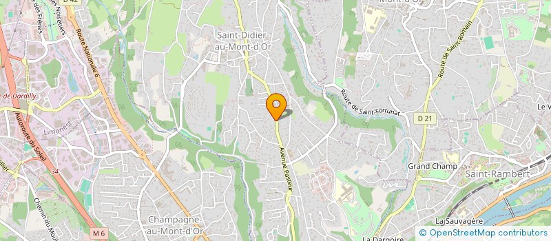 localisation de l'entreprise SCI LES PIERRES DOREES  SAINT-DIDIER-AU-MONT-D'OR