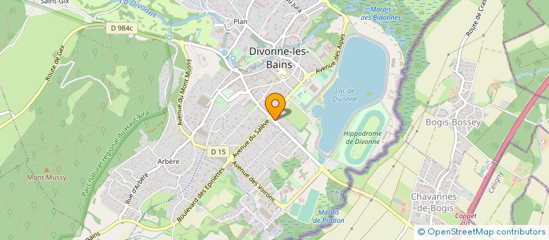 localisation de l'entreprise SCI LES PINS à DIVONNE-LES-BAINS
