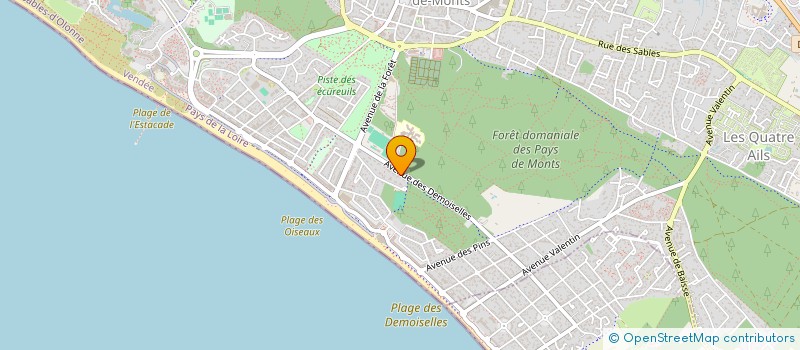 localisation de l'entreprise SCI LES PINS  SAINT-JEAN-DE-MONTS