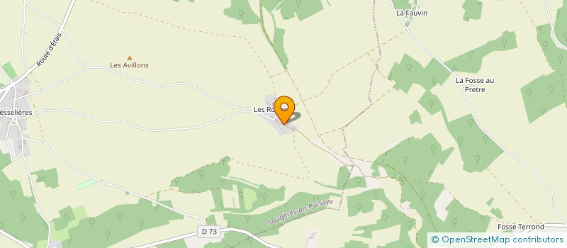 localisation de l'entreprise SCI LES PINS NOIRS à SOUGERES-EN-PUISAYE