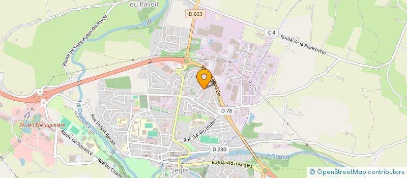 localisation de l'entreprise SCI LES PLATANES à SEGRE-EN-ANJOU BLEU