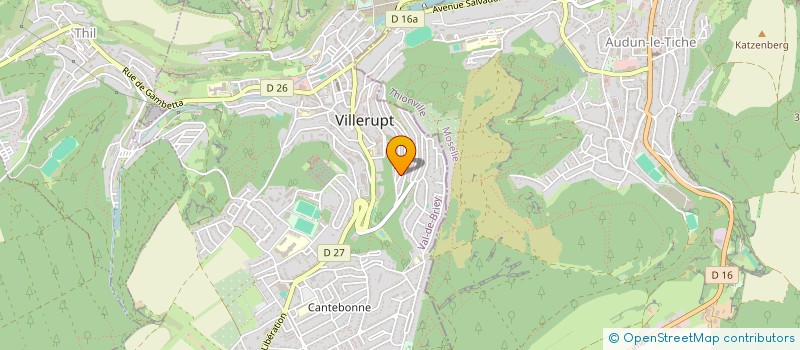 localisation de l'entreprise SCI LES PLATANES  VILLERUPT