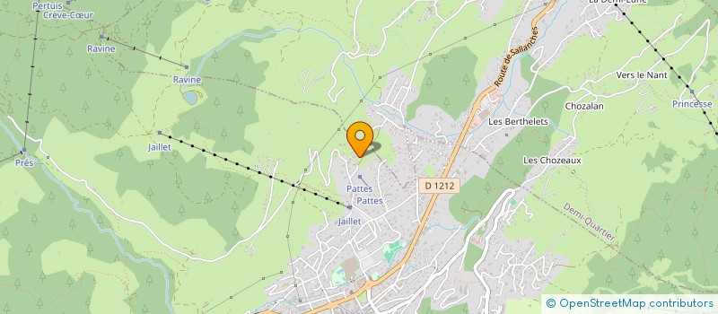 localisation de l'entreprise SCI LES QUATRE SAISONS à PRAZ-SUR-ARLY
