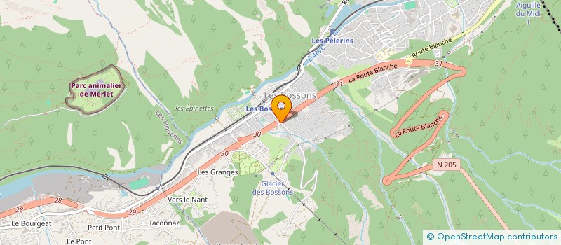 localisation de l'entreprise SCI LES RIVES à CHAMONIX-MONT-BLANC