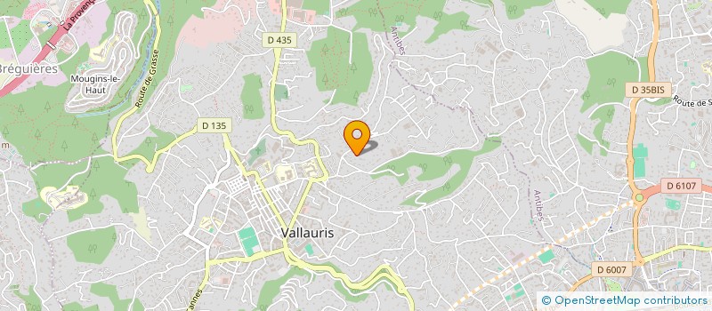localisation de l'entreprise SCI LES ROMARINS à VALLAURIS