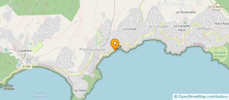 localisation de l'entreprise SCI LES ROMARINS à RAYOL-CANADEL-SUR-MER