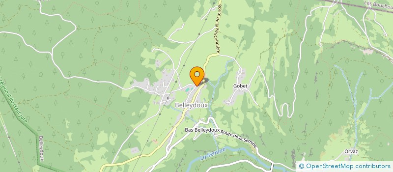 localisation de l'entreprise SCI LES ROSSIGNOLS  BELLEYDOUX