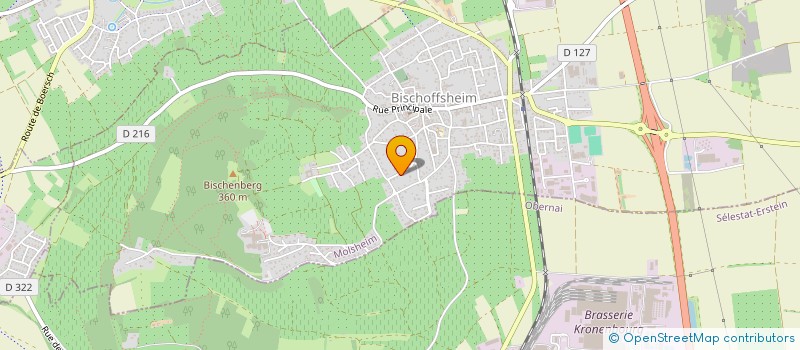 localisation de l'entreprise SCI LES SAPINS  BISCHOFFSHEIM