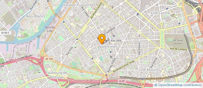 localisation de l'entreprise SCI LES SARRAZINS à LILLE