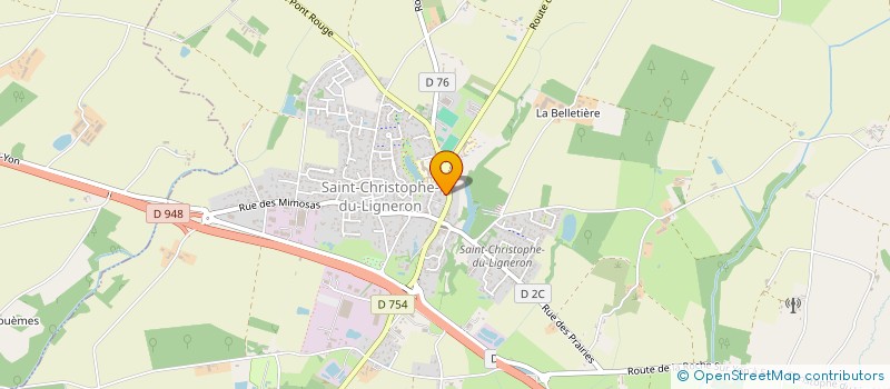localisation de l'entreprise SCI LES TAMALOUS à SAINT-CHRISTOPHE-DU-LIGNERON