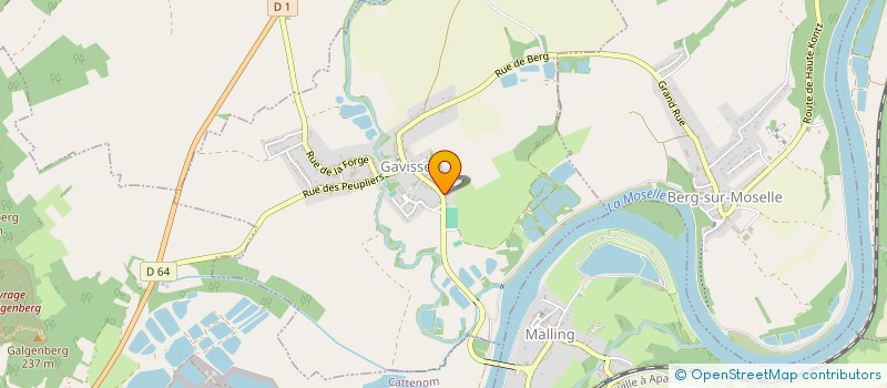 localisation de l'entreprise SCI LES TILLEULS  RODEMACK