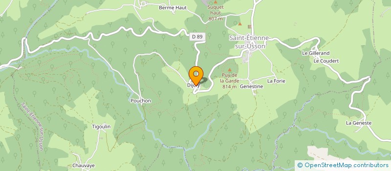 localisation de l'entreprise SCI LES TOMY'S BOYS  SAINT-ETIENNE-SUR-USSON