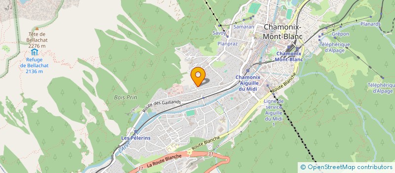 localisation de l'entreprise SCI LES TROIS GONES à CHAMONIX-MONT-BLANC