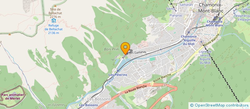 localisation de l'entreprise SCI LES VERNAYS DES GAILLANDS à CHAMONIX-MONT-BLANC