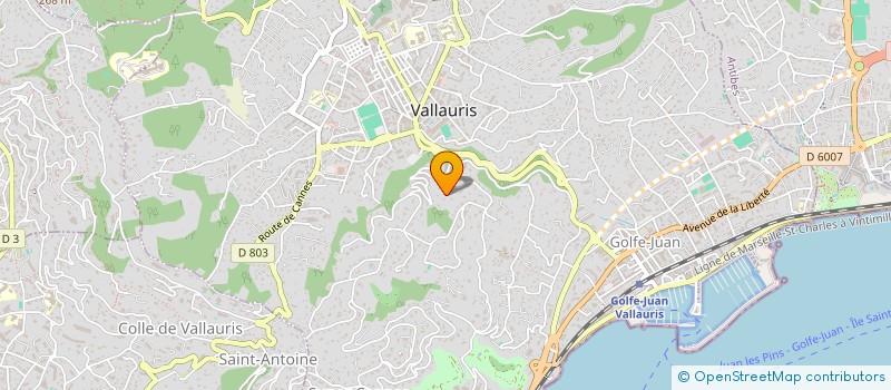 localisation de l'entreprise SCI LES VOLETS BLEUS à VALLAURIS