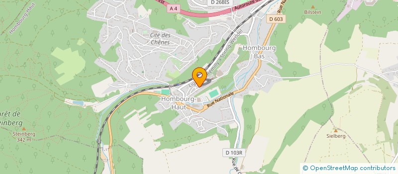 localisation de l'entreprise SCI LES VOYAGES DOETING à HOMBOURG-HAUT
