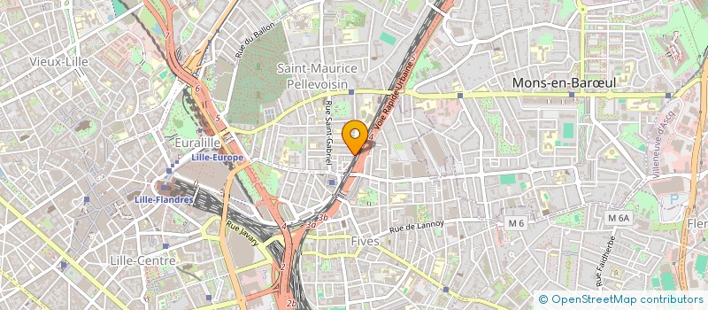 localisation de l'entreprise SCI LES ZEBRES RARES à LILLE