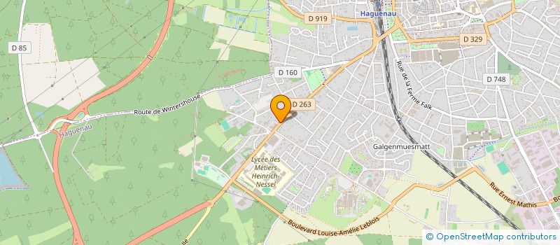 localisation de l'entreprise SCI LES ZURICHOIS  HAGUENAU