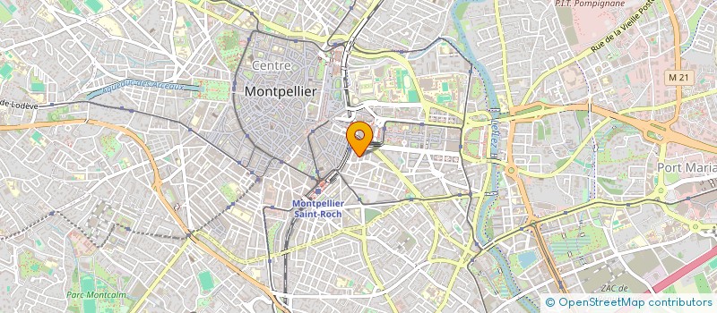 localisation de l'entreprise SCI LION à MONTPELLIER