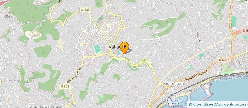 localisation de l'entreprise SCI LORA.  VALLAURIS