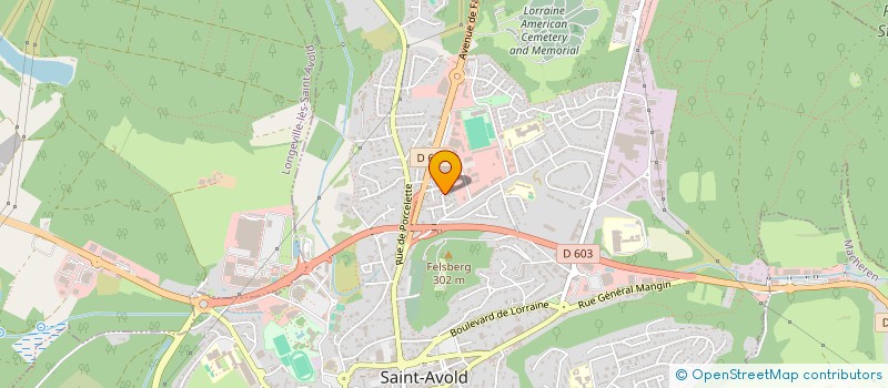 localisation de l'entreprise SCI MAGES à SAINT-AVOLD