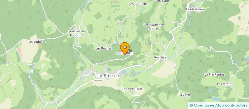 localisation de l'entreprise SCI MANGO à SAINT-BRESSON