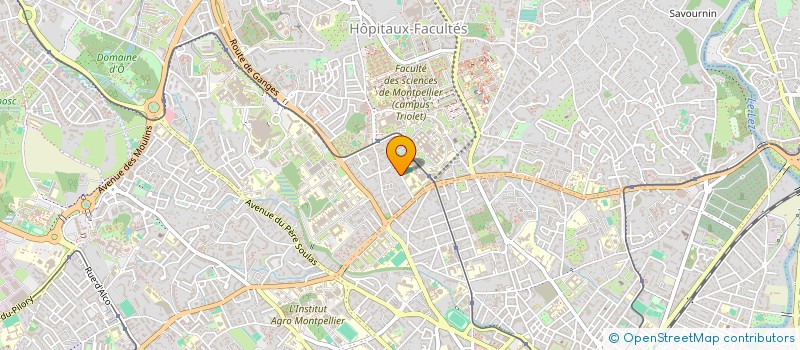 localisation de l'entreprise SCI MARTEL à MONTPELLIER