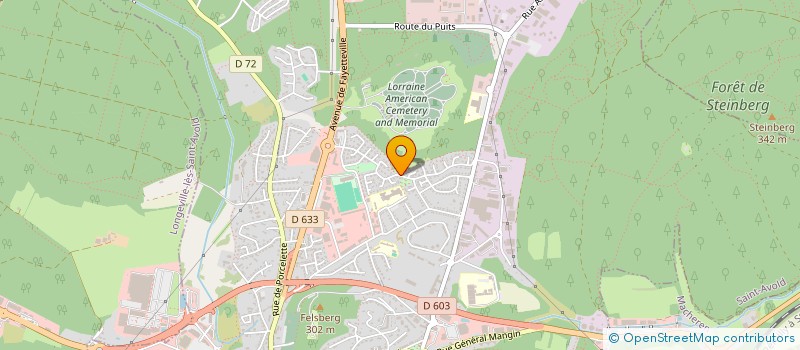 localisation de l'entreprise SCI MELISSA  SAINT-AVOLD