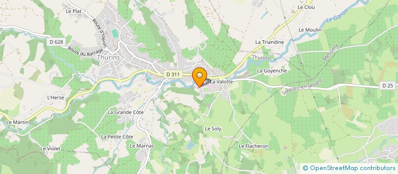 localisation de l'entreprise SCI MELTOSER  THURINS