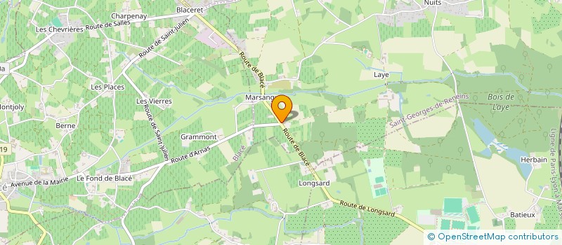 localisation de l'entreprise SCI MIC  SAINT-GEORGES-DE-RENEINS