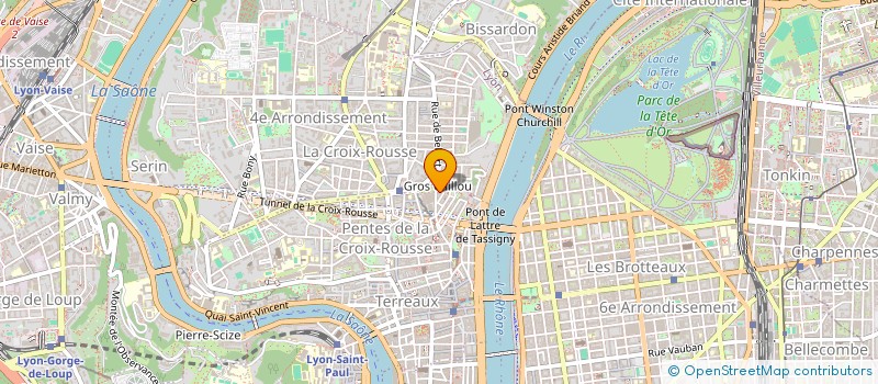 localisation de l'entreprise SCI NAELYR à LYON