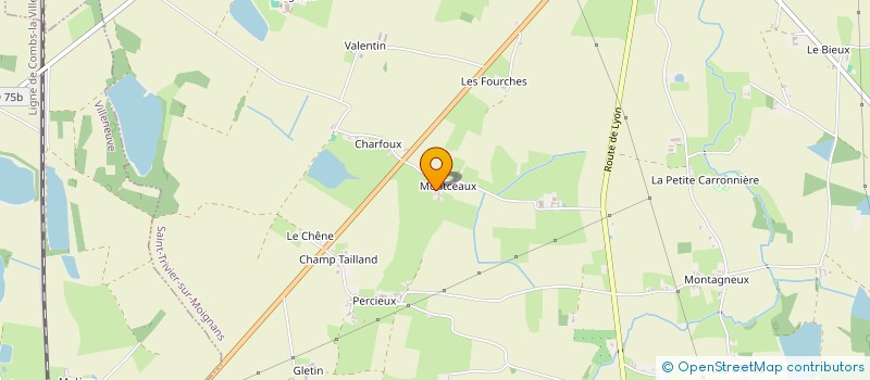 localisation de l'entreprise SCI NINO  SAINT-TRIVIER-SUR-MOIGNANS