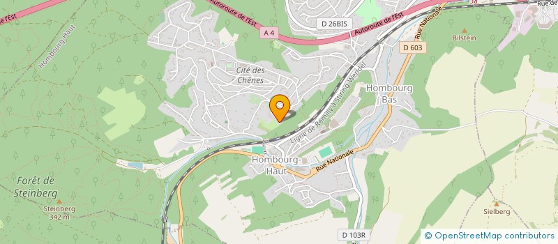 localisation de l'entreprise SCI NJJ à HOMBOURG-HAUT