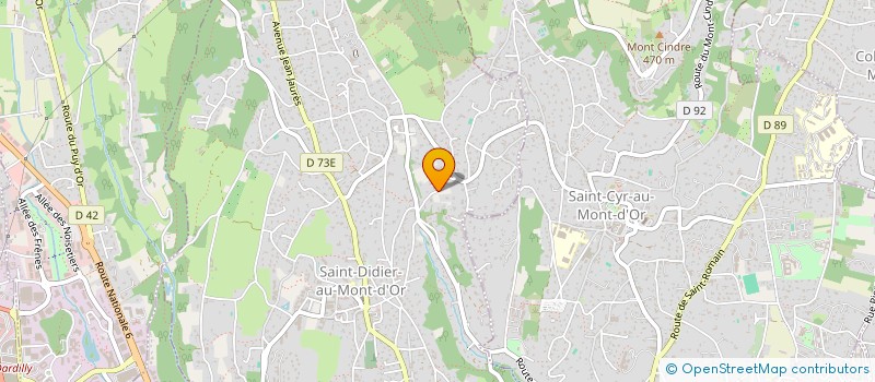 localisation de l'entreprise SCI NKES IMMO  SAINT-DIDIER-AU-MONT-D'OR