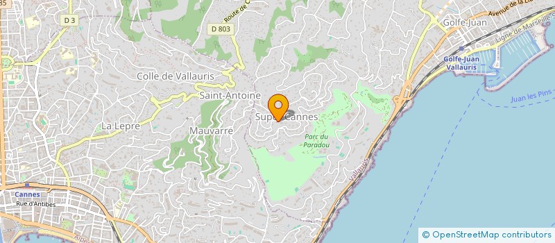 localisation de l'entreprise SCI NOOSA ESTATES à VALLAURIS