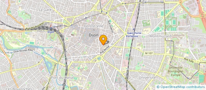 localisation de l'entreprise SCI NOURISSAT PLACE CENTRALE à DIJON