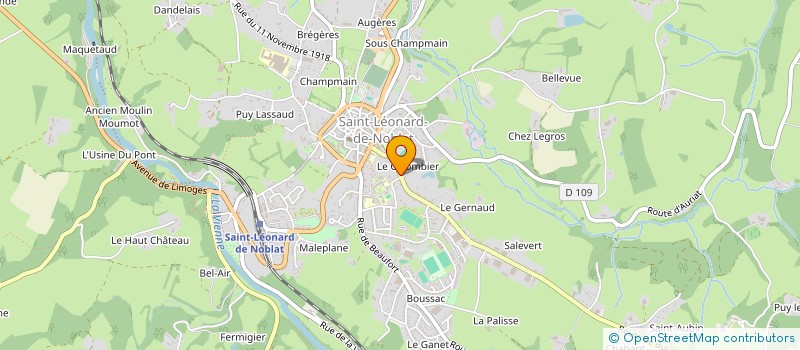 localisation de l'entreprise SCI NS LEASING à SAINT-LEONARD-DE-NOBLAT