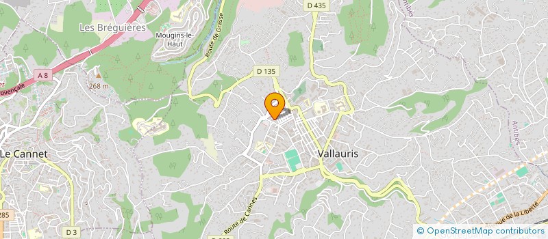 localisation de l'entreprise SCI P.L.K. à VALLAURIS