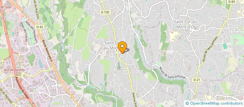 localisation de l'entreprise SCI P SARRAZIN  SAINT-DIDIER-AU-MONT-D'OR