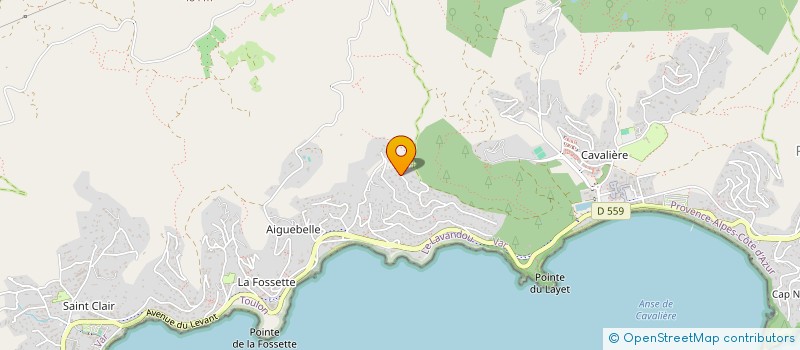 localisation de l'entreprise SCI PARADIS-SUR-MER à LE LAVANDOU