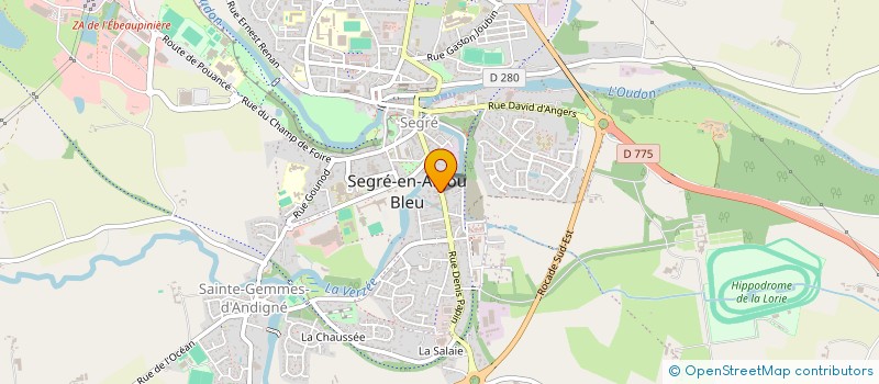 localisation de l'entreprise SCI PARCACTI à SEGRE-EN-ANJOU BLEU