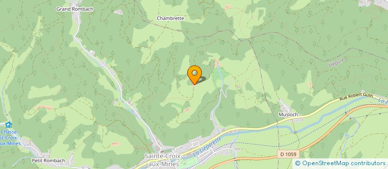 localisation de l'entreprise SCI PARTICULES  SAINTE-CROIX-AUX-MINES