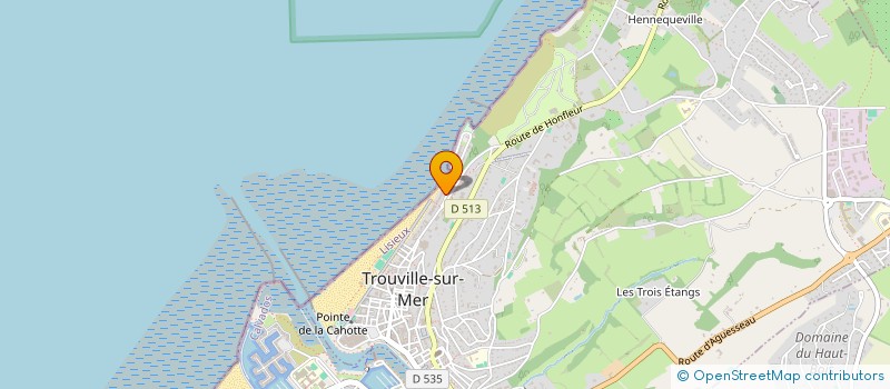 localisation de l'entreprise SCI PAVILLON ELISABETH à TROUVILLE-SUR-MER