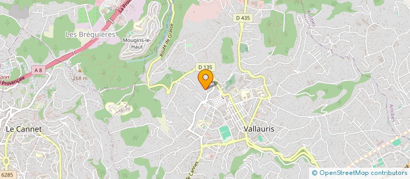 localisation de l'entreprise SCI PHOENIX  VALLAURIS