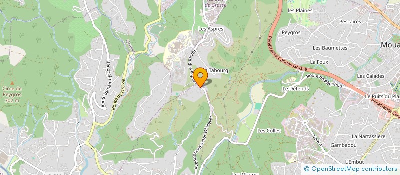 localisation de l'entreprise SCI PINELODGE AZURE  PEGOMAS