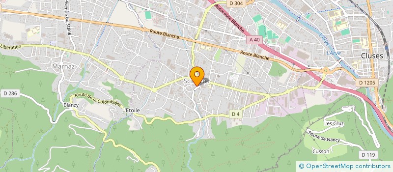 localisation de l'entreprise SCI PLACE DU FORON  SCIONZIER