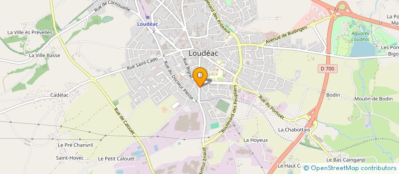 localisation de l'entreprise SCI PUBINFO à LOUDEAC
