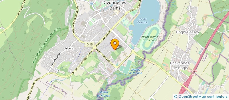 localisation de l'entreprise SCI R & LJ  DIVONNE-LES-BAINS