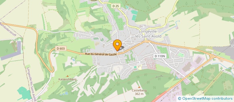 localisation de l'entreprise SCI RADOJEWSKI  LONGEVILLE-LES-SAINT-AVOLD